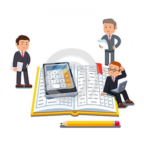 Columnar Day Book Module